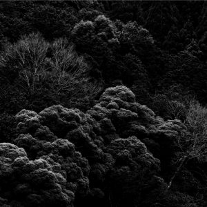 山上新平写真展 Echoes of Unseen｜展示｜思文閣 美術品・古書古典籍の